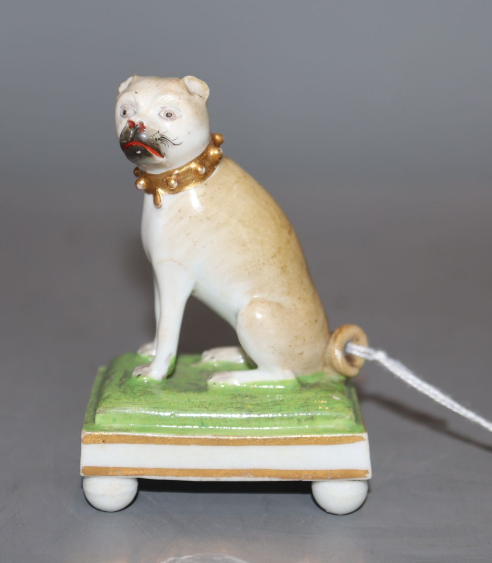 A rare Derby seated figure of a pug dog, c.1830, modelled by Edward Keys, H. 8.5cm
